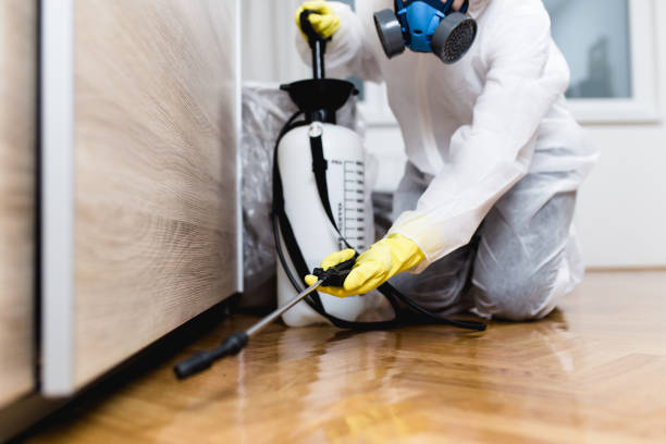 Best Best Pest Control Companies  in Minerva Park, OH
