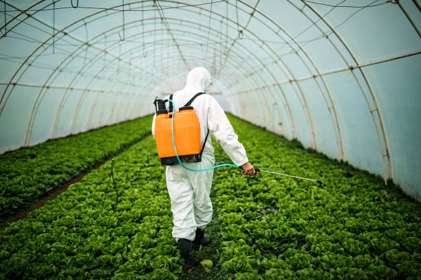 Best Pest Inspection Near Me  in Minerva Park, OH