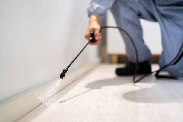 Professional Pest Control in Minerva Park, OH