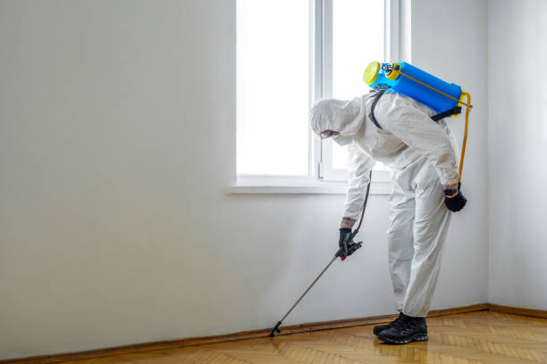 Best Affordable Pest Control Services  in Minerva Park, OH