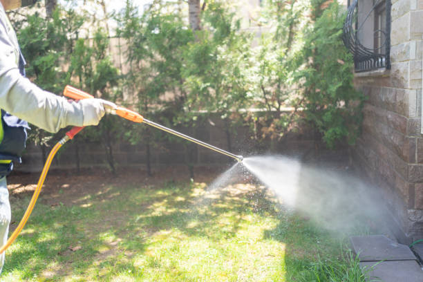 Wasp Removal Services in Minerva Park, OH