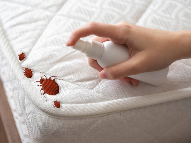 Best Emergency Pest Control  in Minerva Park, OH