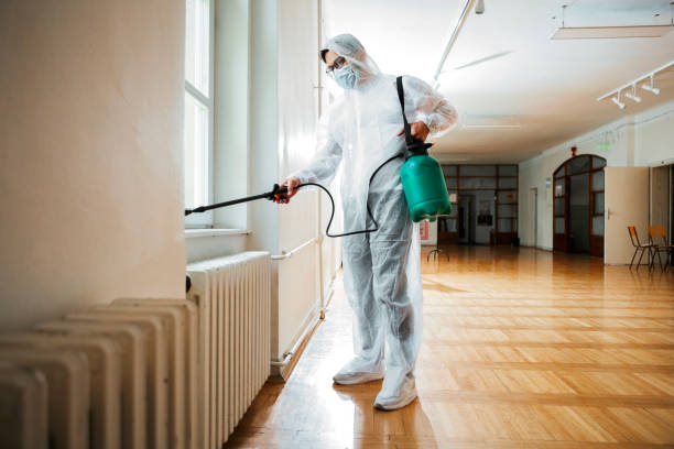 Best Best Pest Control Companies  in Minerva Park, OH